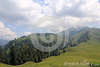 Siri Paye Meadows in Northern Pakistan Stock Photo