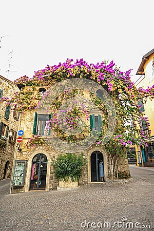 SIRMIONE, ITALY Facade of house in center of Sirmione with flowering pink bougainvillea.traditional summer facade decoration of a Editorial Stock Photo