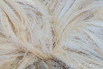 Sisal fiber texture abstract background. Sisal fiber products Stock Photo