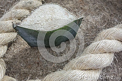 Sisal fiber in the form of a plant and rope Stock Photo