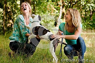 Sisters are playing with the dog Stock Photo