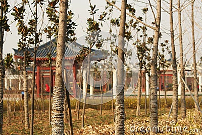 Luoyang Sui and Tang Ruins Park Stock Photo