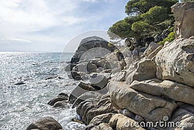 Sithonia coastline near Koviou Beach, Chalkidiki, Greece Stock Photo