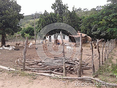 Sitio farm Stock Photo