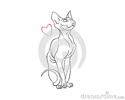 Sitting the canadian Sphinx with the heart illustration vector Cartoon Illustration