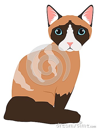 Sitting cat icon. Siamese breed. Domestic animal Vector Illustration