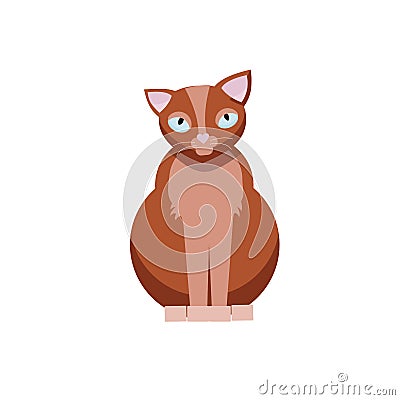 Sitting cute cat. Brown kitty flat cartoon vector illustraton isolated on white background Stock Photo