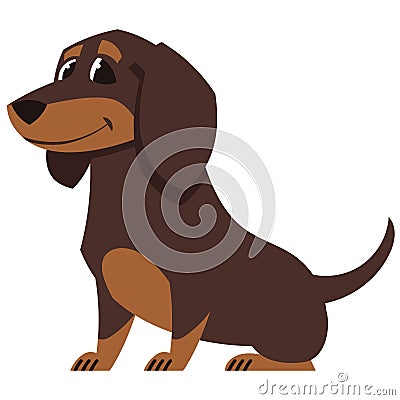 Sitting Dachshund dog Stock Photo
