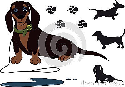 Sitting dachshund Vector Illustration