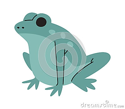 Sitting Frog Animal Vector Illustration