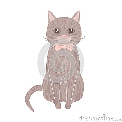 Sitting gray pet cat with textured fur wearing bow tie Vector Illustration