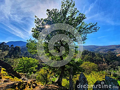 Aldeia Covas do Monte - Portugal Stock Photo