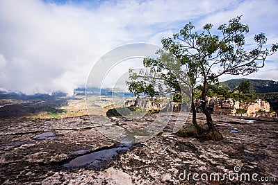 Siurana, Tarragona, Spain, May 1, 2020 - pair of trees grow on rock above clouds Editorial Stock Photo