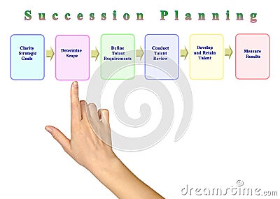 Components of Succession Planning Stock Photo