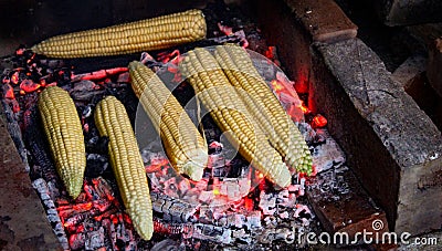 Six corn on the cob grilled in the traditional way. Grilled corn Stock Photo