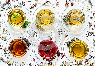 Six different types of tea prepared in the cups. Stock Photo