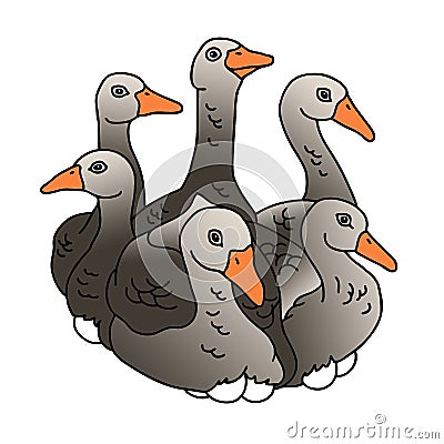 Six geese a laying ready to sing the 12 days of Christmas Stock Photo