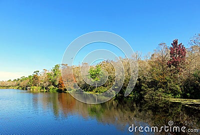 Six Mile Cypress Slough, Florida Stock Photo