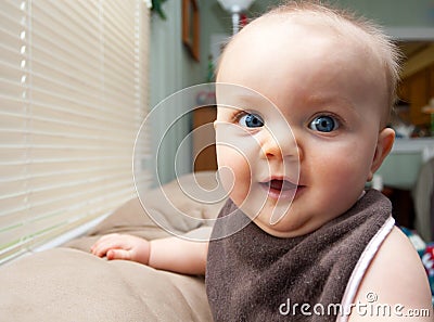 Six Month Old Stock Photo