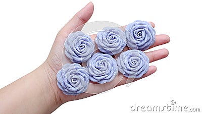 Six pieces gray handmade rose flowers on hand with white background isolated Stock Photo