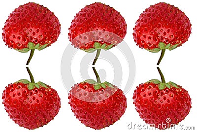 Six ripe strawberries. Vertical reflection. Fresh berries strawberries on a white background. Strawberries closeup. Stock Photo