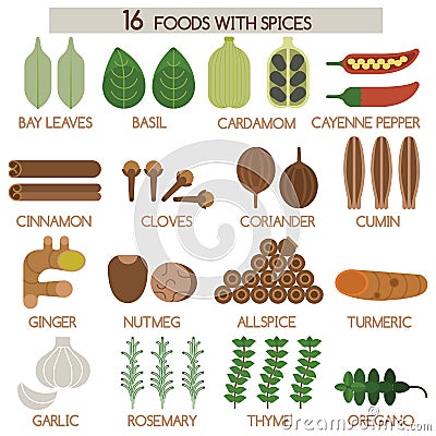 Sixteen foods with spices Vector Illustration