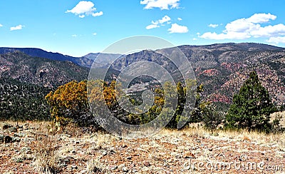 Gila National Forest in New Mexico Stock Photo