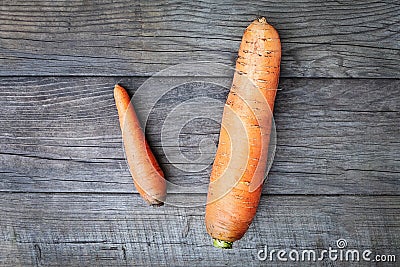 Size matters concept - small carrot vs big one, self validation and estimation idea Stock Photo
