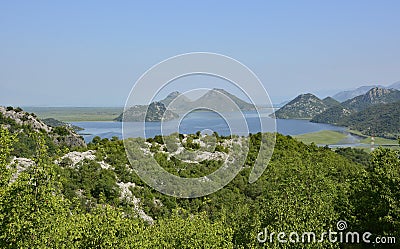 Skadarsko Jezero Stock Photo