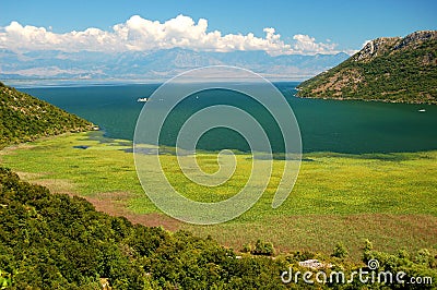 Gorgeous picturesque scene of Lake Skadar in Monte Stock Photo