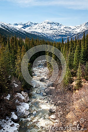 Skagway River in the Tongass National Forest, Alaska Stock Photo