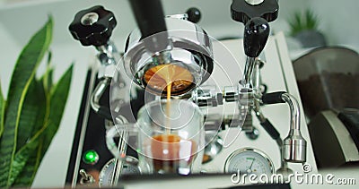 Skarvlös filmslinga : perfekt extraktion av kaffespresso-maskin från butomodermalt naket portafilter arkivfilmer Skarvlös filmslinga : perfekt extraktion av kaffespresso-maskin från butomodermalt naket portafilter arkivfilmer