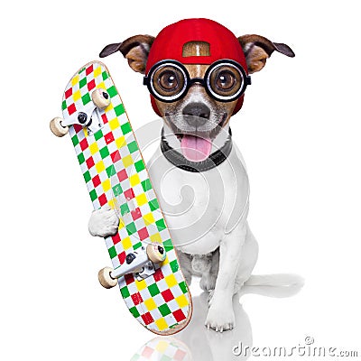 Skater dog Stock Photo