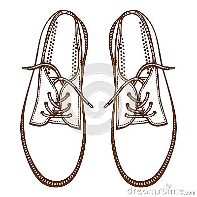 Skaters Shoes. Top View. Vector Illustration