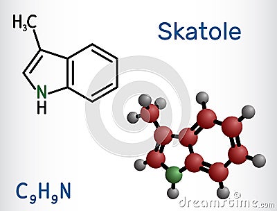 Skatole, 3-methylindole molecule. Belong to the indole family. Structural chemical formula, molecule model. Vector Illustration