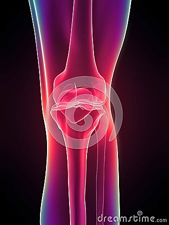 Skeletal knee Cartoon Illustration