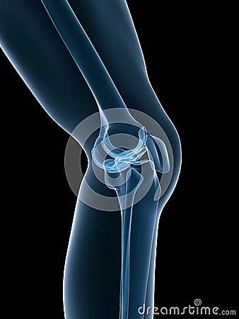 Skeletal knee Cartoon Illustration