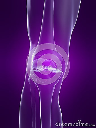 Skeletal knee Cartoon Illustration