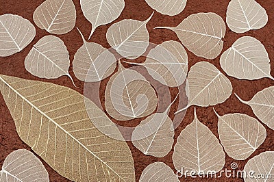 Skeletal leaves over brown handmade paper Stock Photo