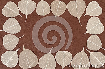 Skeletal leaves over brown handmade paper Stock Photo