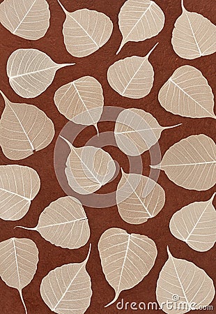 Skeletal leaves over brown handmade paper Stock Photo