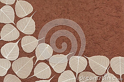Skeletal leaves over brown handmade paper Stock Photo