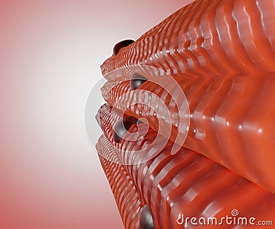 bundles of muscle fibers 3d rendering Stock Photo