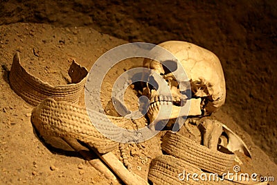 Skeleton Stock Photo