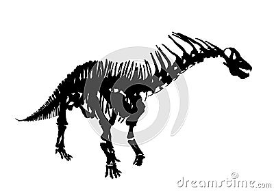 Skeleton of ancient big dinosaur. Vector Illustration