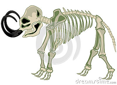 Skeleton animal mammoth on white background is insulated Vector Illustration