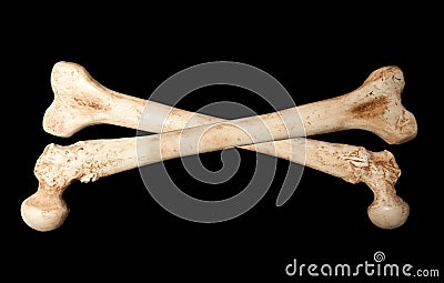 Skeleton bones Stock Photo