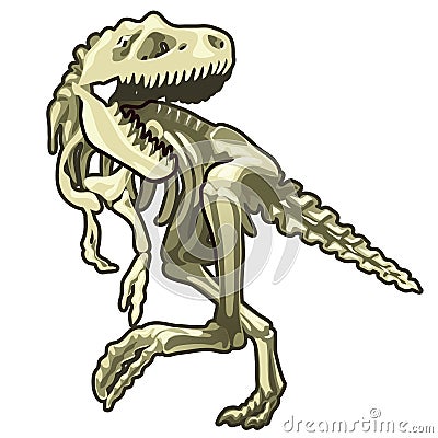 Skeleton of classic prehistoric dinosaur. Vector Vector Illustration