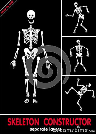 Skeleton constructor. Vector Vector Illustration