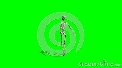 Skeleton Dance  Green  Screen  Stock Video Video of raven 